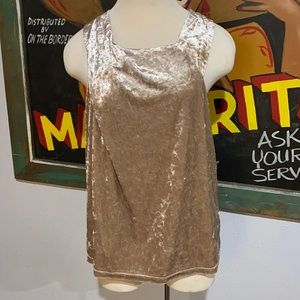 NWT Porridge Clothing Anthropologie Velvet Tank Top
